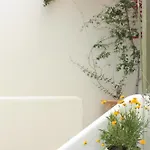 Aktio Ξενοδοχείο με διαμερίσματα Γαύριο