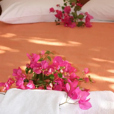 Aparthotel Aktio Studios 3*